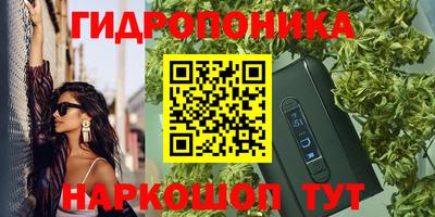 мяу мяу мука Лесосибирск