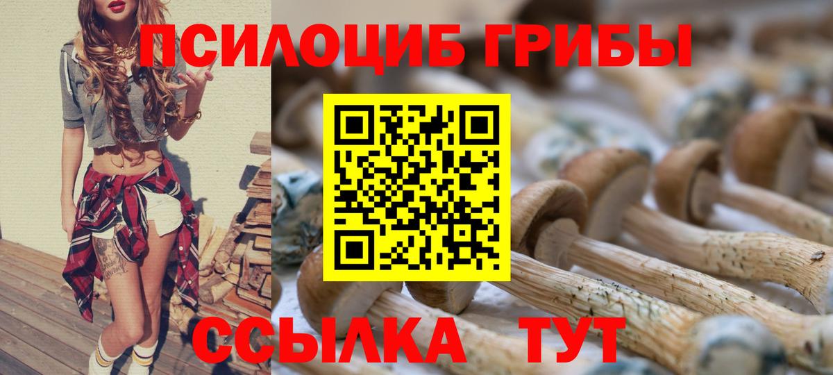 Галлюциногенные грибы ЛСД  Вход с VPN  Верхняя Пышма 